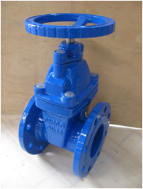 DIN Resilient Seated Gate Valve