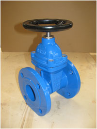 DIN Resilient Seated Gate Valve